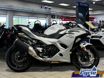 New 2025 Kawasaki Ninja 500 ABS