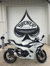 New 2025 Kawasaki Ninja 500 ABS
