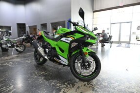 New 2025 Kawasaki Ninja 500