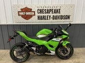 2025 Kawasaki Ninja 500