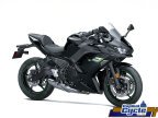 Thumbnail Photo 3 for New 2025 Kawasaki Ninja 650