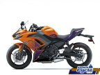 Thumbnail Photo 5 for New 2025 Kawasaki Ninja 650