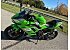 2025 Kawasaki Ninja 650