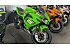 New 2025 Kawasaki Ninja 650
