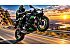 2025 Kawasaki Ninja 650