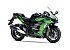 New 2025 Kawasaki Ninja H2