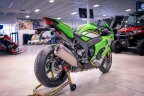 Thumbnail Photo 4 for New 2025 Kawasaki Ninja ZX-10R ABS