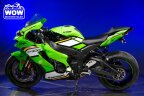 Thumbnail Photo 4 for 2025 Kawasaki Ninja ZX-10R ABS