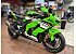 New 2025 Kawasaki Ninja ZX-10R ABS