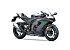 New 2025 Kawasaki Ninja ZX-10RR