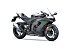New 2025 Kawasaki Ninja ZX-10RR