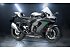New 2025 Kawasaki Ninja ZX-10RR