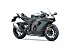 New 2025 Kawasaki Ninja ZX-10RR