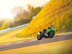 Thumbnail Photo 4 for New 2025 Kawasaki Ninja ZX-4RR