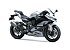 New 2025 Kawasaki Ninja ZX-4RR