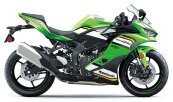 New 2025 Kawasaki Ninja ZX-4RR