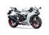 New 2025 Kawasaki Ninja ZX-6R
