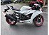 New 2025 Kawasaki Ninja ZX-6R