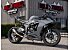 2025 Kawasaki Ninja ZX-6R