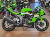 New 2025 Kawasaki Ninja ZX-6R
