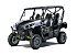 New 2025 Kawasaki Teryx4