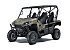 New 2025 Kawasaki Teryx4