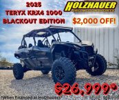 New 2025 Kawasaki Teryx KRX
