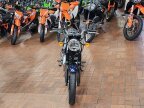 Thumbnail Photo 2 for New 2025 Kawasaki W230