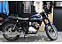 New 2025 Kawasaki W230