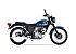 New 2025 Kawasaki W230