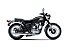 New 2025 Kawasaki W800