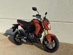 Thumbnail Photo 1 for New 2025 Kawasaki Z125 Pro