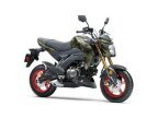 Thumbnail Photo 5 for New 2025 Kawasaki Z125 Pro