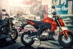 Thumbnail Photo 6 for New 2025 Kawasaki Z125 Pro