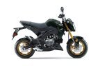 Thumbnail Photo 2 for New 2025 Kawasaki Z125 Pro