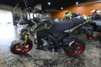 Thumbnail Photo 5 for New 2025 Kawasaki Z125 Pro