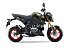 New 2025 Kawasaki Z125 Pro