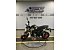 New 2025 Kawasaki Z125 Pro