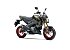 New 2025 Kawasaki Z125 Pro