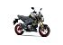 New 2025 Kawasaki Z125 Pro