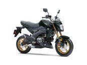 2025 Kawasaki Z125 Pro