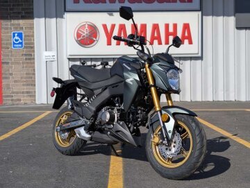 New 2025 Kawasaki Z125 Pro