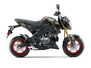 New 2025 Kawasaki Z125 Pro