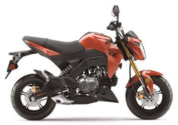 New 2025 Kawasaki Z125 Pro