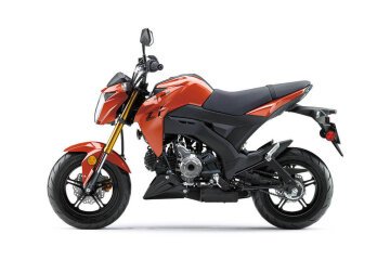 New 2025 Kawasaki Z125 Pro