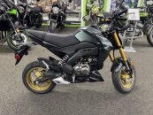 New 2025 Kawasaki Z125 Pro