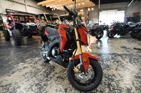 New 2025 Kawasaki Z125 Pro