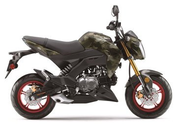 New 2025 Kawasaki Z125 Pro