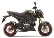 New 2025 Kawasaki Z125 Pro
