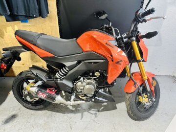 New 2025 Kawasaki Z125 Pro